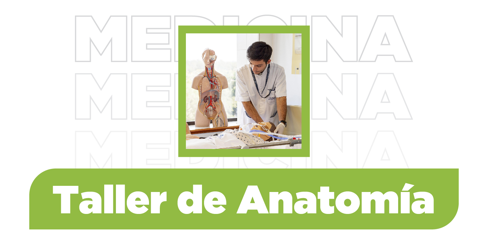 Taller_de_Carrera_Medicina_Anatomía_2024-04