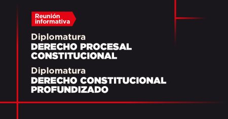 Diplos derecho procesal y constitucional banner RI